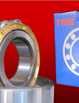 TMB天马轴承 原装正品 NU2222EM 32522EH 110*200*53 NUP NF RNU