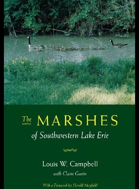 【预售】Marshes of S W Lake Erie