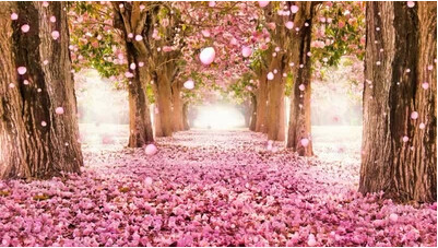 高清 唯美桃花林 浪漫花瓣 高端婚礼婚庆led大屏幕视频背景VJ素材