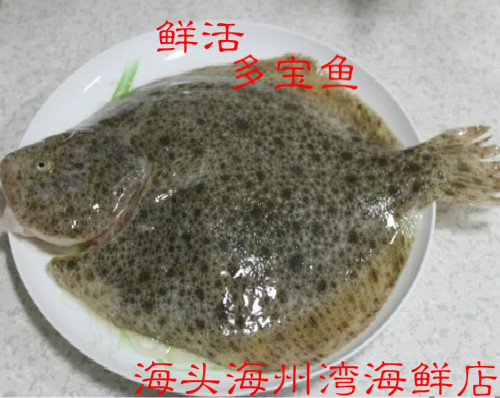 海鲜鲜活水产新鲜多宝鱼比目鱼扁嘴鱼菱鲆鱼江浙沪皖6斤包邮250g_虎窝淘