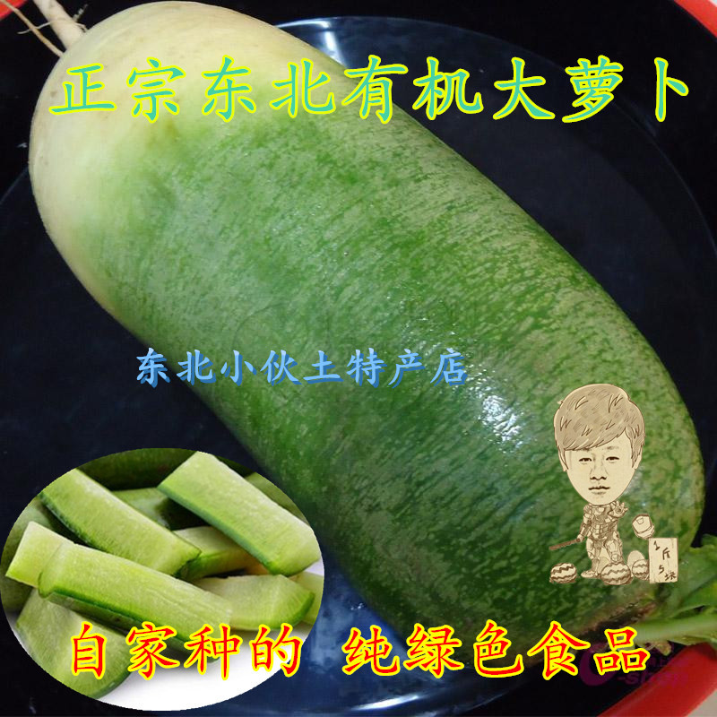 东北农家水果沙窝大萝卜口感