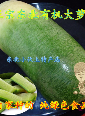 沙窝萝卜小伙东北特产新鲜蔬菜水果萝卜农家大青萝卜1000g2份包邮