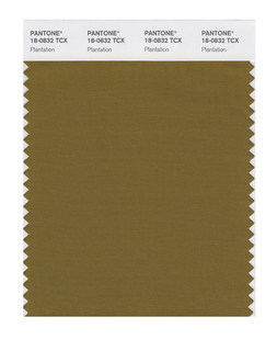 Pantone潘通色卡彩通官方旗舰店 棉布版单张色卡 服裝家居 18-0538至18-0950TCX