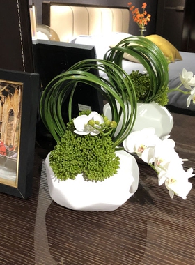 白色蝴蝶兰仿真花整体成品摆件