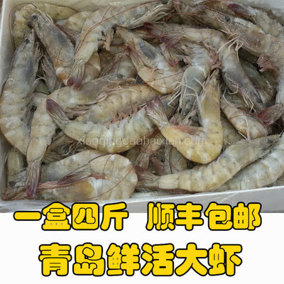 鲜活海虾海捕大虾新鲜鲜虾青虾