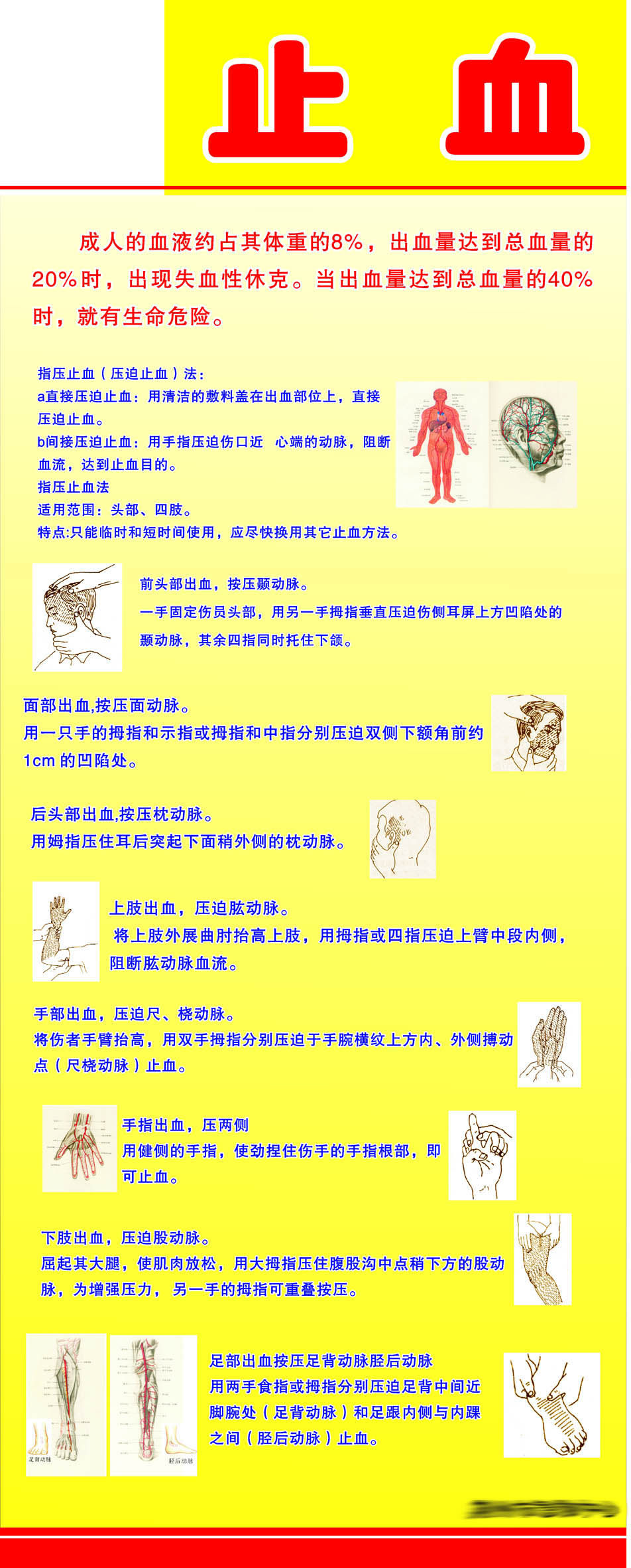 海报印制写真336急救展板46急救中心止血方法