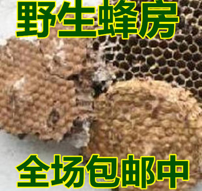 包邮中药材蜂房 露蜂房 马蜂窝 蜂巢 野蜂窝 大黄蜂窠500克