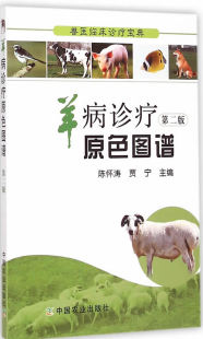养病诊疗原色图谱-二版 书店 陈怀涛 医药卫生类考试书籍 书 畅想畅销书