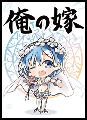 婚纱雷姆会场卡套现货