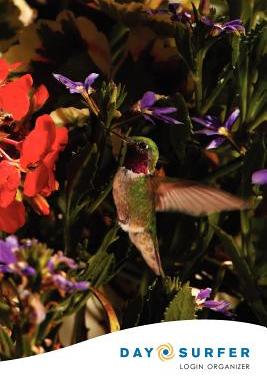 【预售】Day Surfer Login Organizer (Hummingbird)