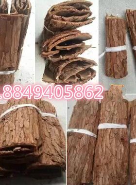 杉树皮装饰复古道具拍摄饰品道具树皮房子模型辅助道具包下水管