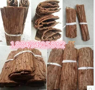 杉树皮装饰复古道具拍摄饰品道具树皮房子模型辅助道具包下水管