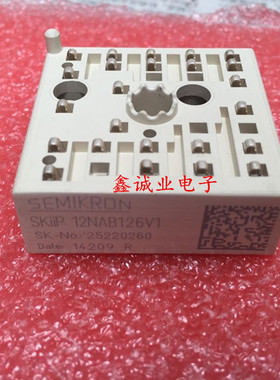 SKIIP12NAB126V1  SKIIP13NAB126V1