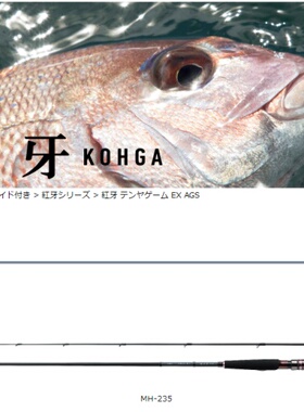 Daiwa 紅牙 TENYAGAME EX AGS MH-235 S/MH‐235 直柄竿 2017新款