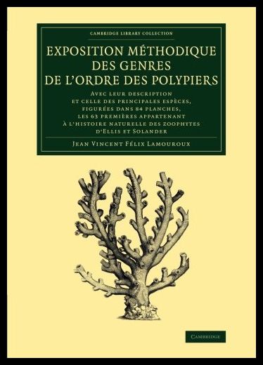 美国库房发货，通常付款后5-8周到货！