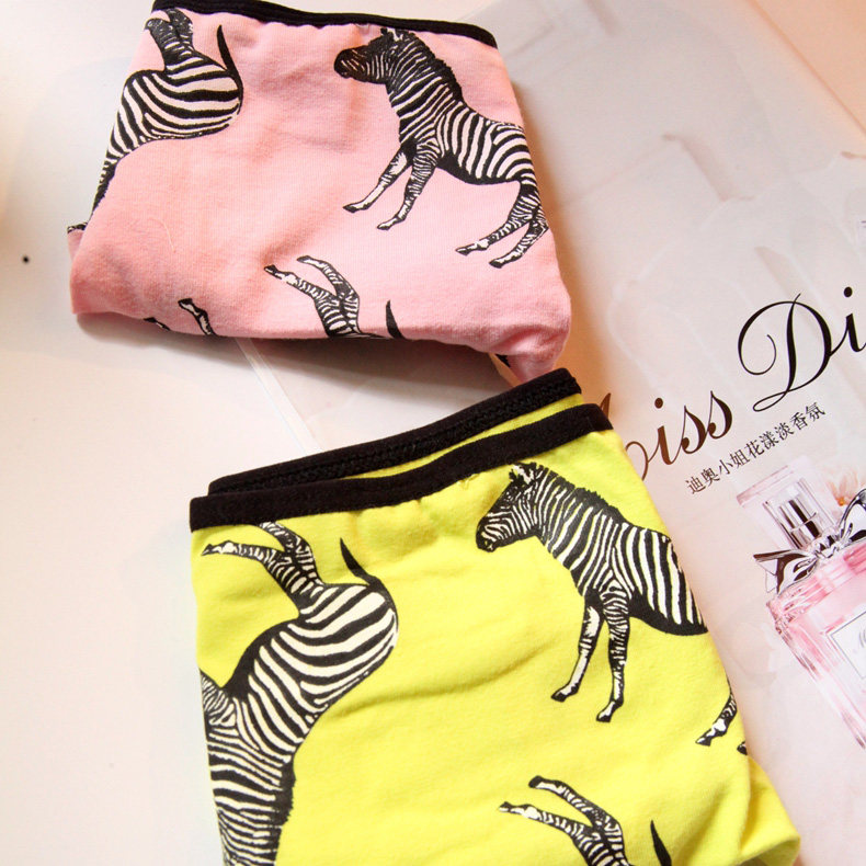 Slip jeunesse mouvement en coton - Ref 642142 Image 1