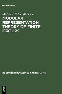 Representation Modular Theory Groups Finite 预售