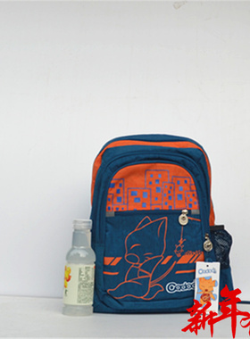 威豹-迪威丽专柜正品男女通用防水双肩背包背提包书包12119