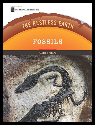 【预售】Fossils