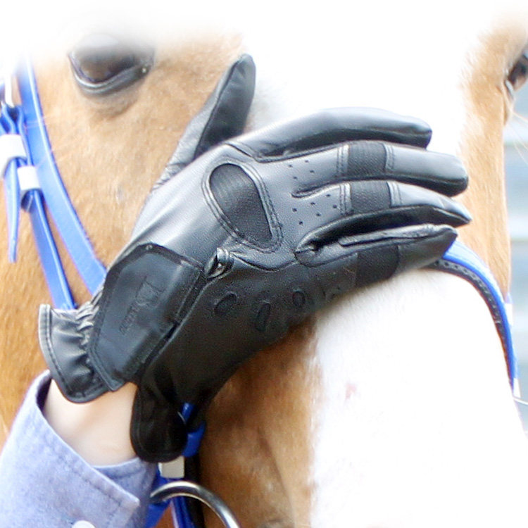 Article équitation - Ref 1381598 Image 3