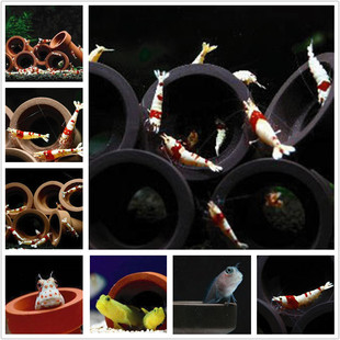 国产原模水晶虾躲避繁殖管土管鲷罐虾罐虾屋虾房虾缸观赏虾观赏鱼