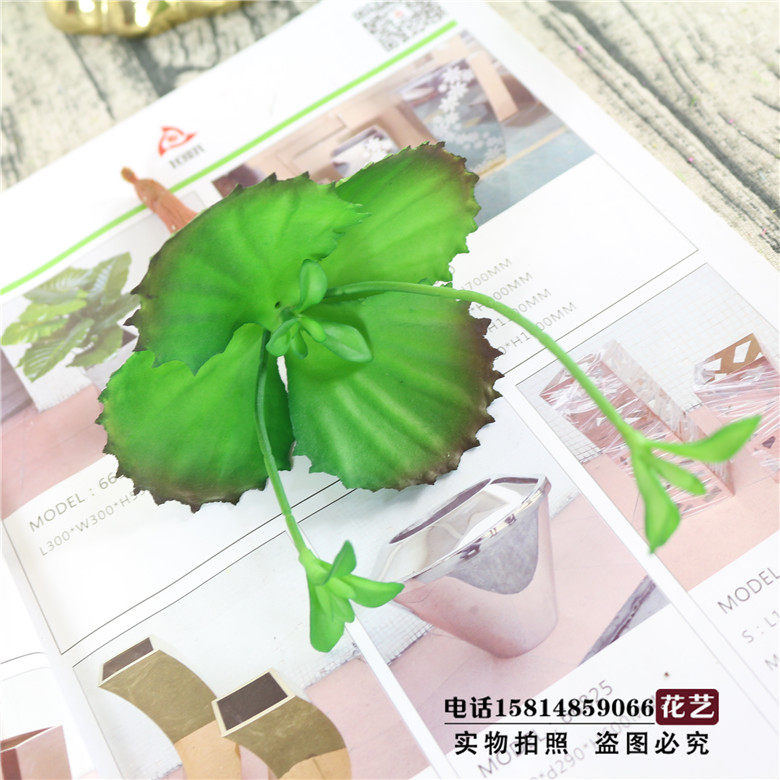 仿真多肉小花假肉肉植物组合盆栽手工diy微景观套装迷你绿植摆件