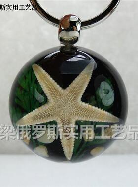 Z2昆虫水晶琥珀钥匙扣钥匙链半球形海洋黑色底海星