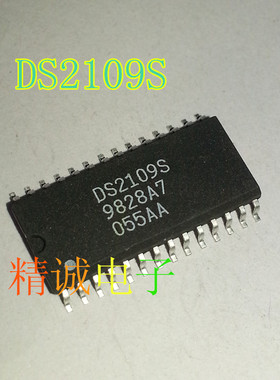 DS2109S DS2109 全新原装进口IC 实体店库存