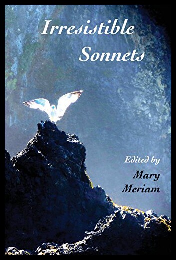 【预售】Irresistible Sonnets