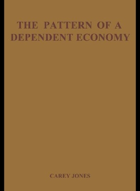 【预售】Pattern of Dependent Econ