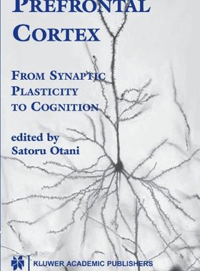 【预订】Prefrontal Cortex: From Synaptic Pla...