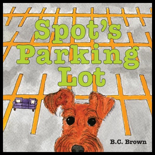 【预售】spots parking lot