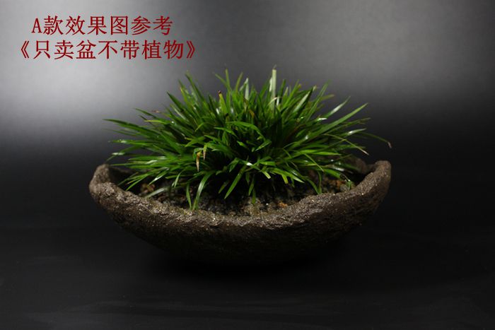 自产自销宜兴紫砂花盆手工花盆粗陶花盆异型花盆创意个性盆特价4