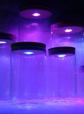 微景观展示瓶透明玻璃直筒防尘罩