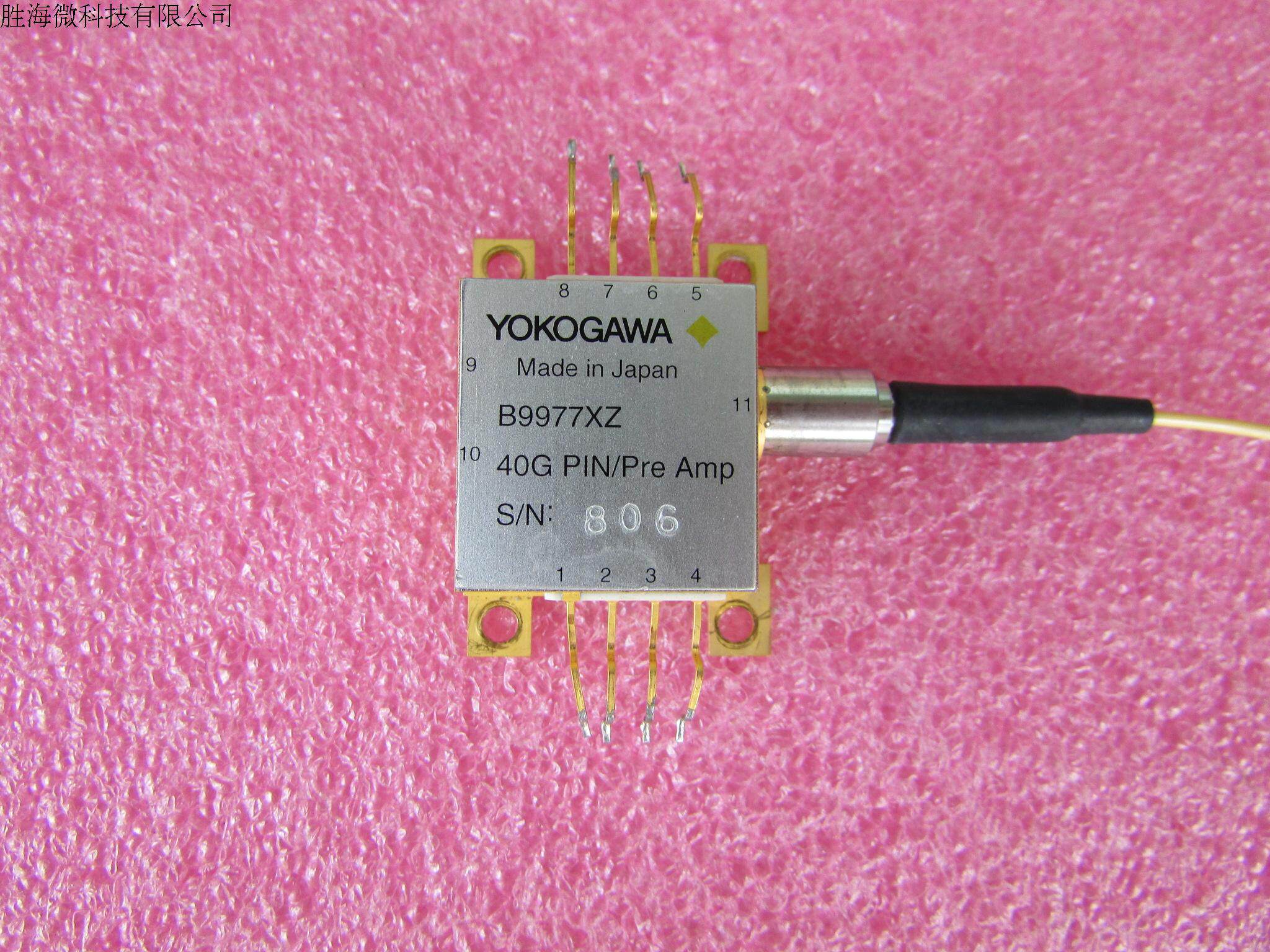 Yokogawa进口 B9977XZ  DC-40GHz  PIN/Pre Amp 射频光纤放大器