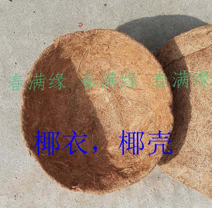 花器壁挂花瓶设备园艺花架花盆