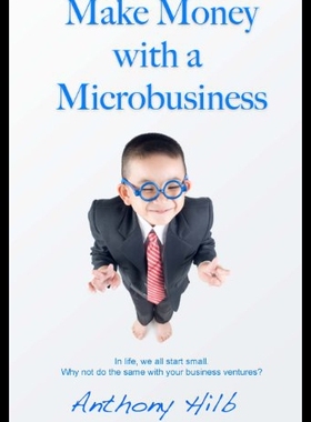 【预售】Make Money with a Microbusiness