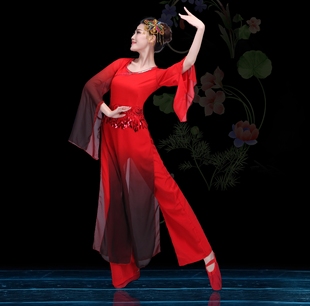 表演服成人女 舞蹈服古典舞演出服惊鸿舞舞台装 2019新款 水墨水袖