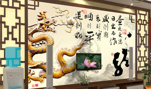 高清二龙戏珠装饰画中国龙背景jpg格式psd模版定制设计图片素材C