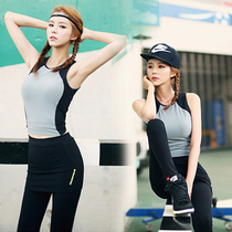 Vêtement fitness femme BX011 en autre - Ref 608387 Image 6