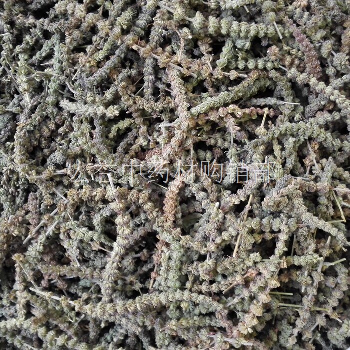 荆芥穗 中药材 正品无杂 足干无硫 解表散风 透疹 消疮 止血