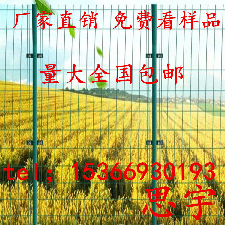 荷兰网养殖防护圈地网护栏网养鸡铁丝钢丝绿网围墙网隔离网