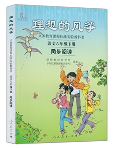 正版 理想的风筝 小学语文六年级下册同步阅读6年级语文下册 人民教育出版社义务教育课程标准实验教科书
