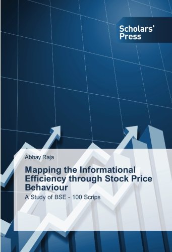 【预售】Mapping the Informational Efficiency...-封面