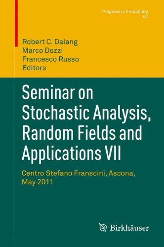 【预售】Seminar on Stochastic Analysis, Random Fields ...