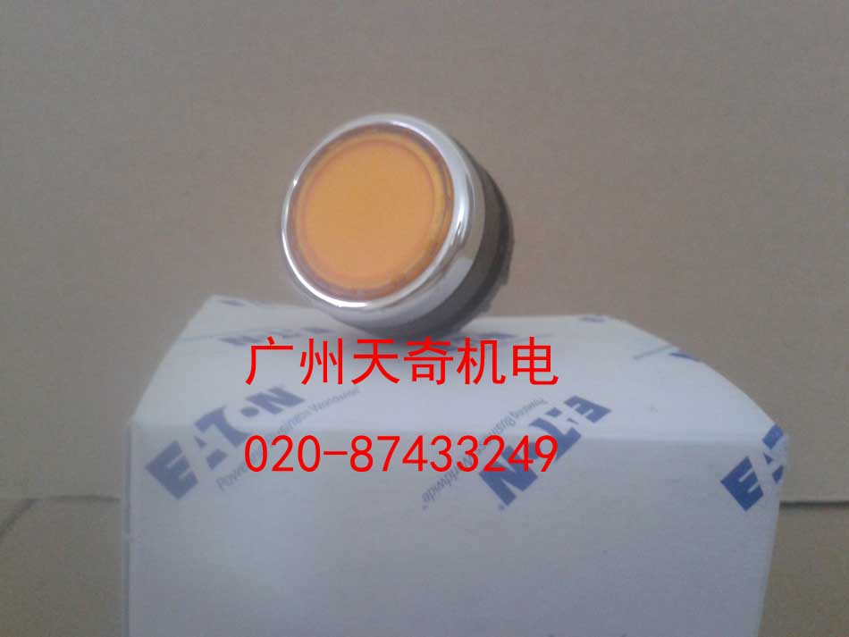 带锁按钮开关伊顿A22-RLTR-GE