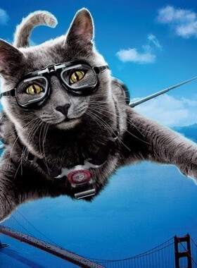 肥猫家の店 定制主机！I3 10100F  12100F 独显 吃鸡游戏台式电脑