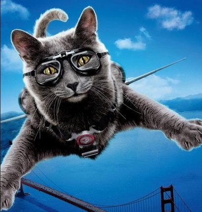 肥猫家の店 定制主机！I3 10100F  12100F 独显 吃鸡游戏台式电脑