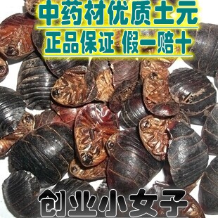 中药材 土元虫干的500克包邮 蟅虫 地土鳖虫粉全蝎蜈蚣水蛭