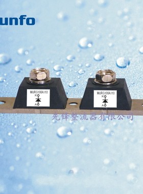 先正 可控硅/晶闸管模块  肖特基 快恢复二极管模块 MURG(Y)-100A